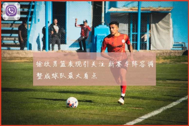 徐欣男篮表现引关注 新赛季阵容调整成球队最大看点