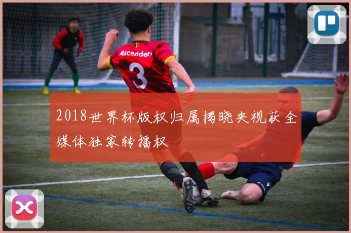 2018世界杯版权归属揭晓央视获全媒体独家转播权