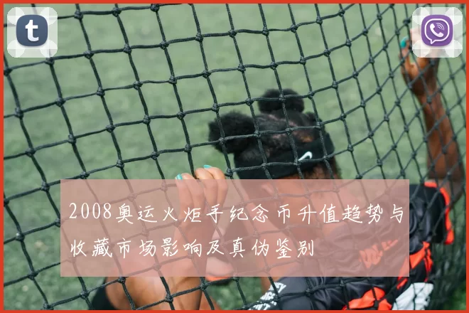 2008奥运火炬手纪念币升值趋势与收藏市场影响及真伪鉴别