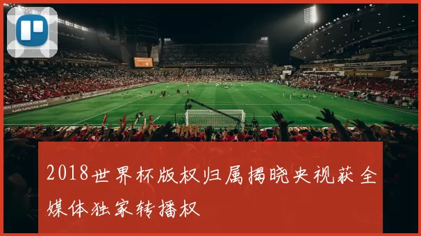 2018世界杯版权归属揭晓央视获全媒体独家转播权