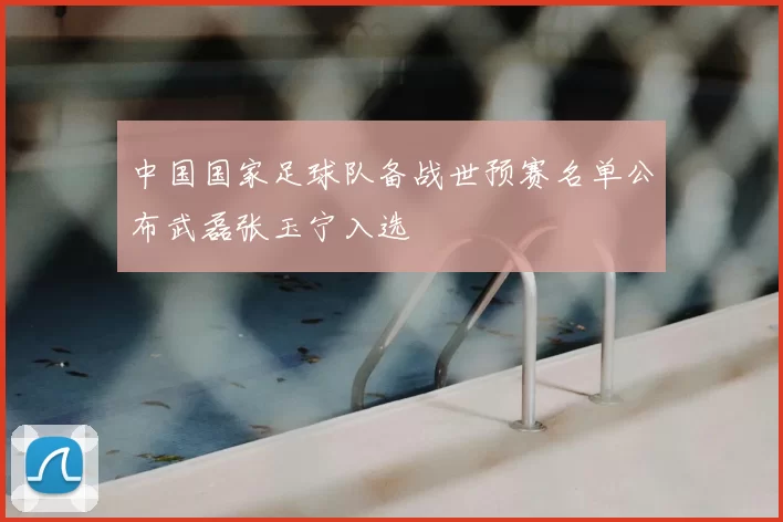 中国国家足球队备战世预赛名单公布武磊张玉宁入选