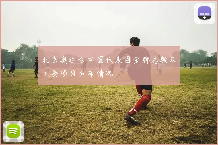 北京奥运会中国代表团金牌总数及主要项目分布情况